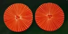 E19 E19