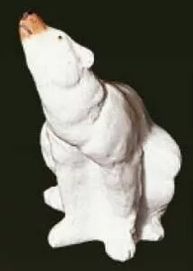 0564 0564