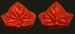 Е5 Е5