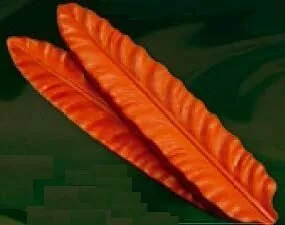 Е72 Е72