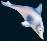 0338 0338