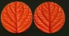 E17 E17