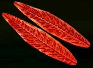 Е43 Е43