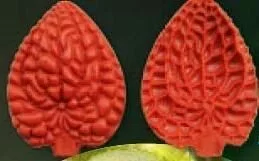Е102 Е102