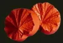Е1 Е1