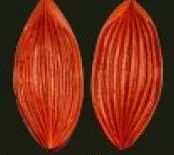 E40 E40