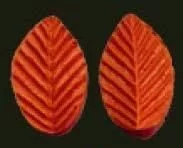 Е62 Е62