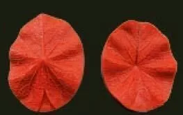 Е94 Е94