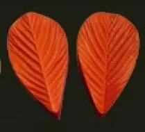 Е10 Е10
