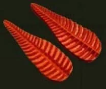 Е64 Е64