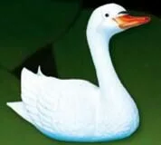 0291 0291